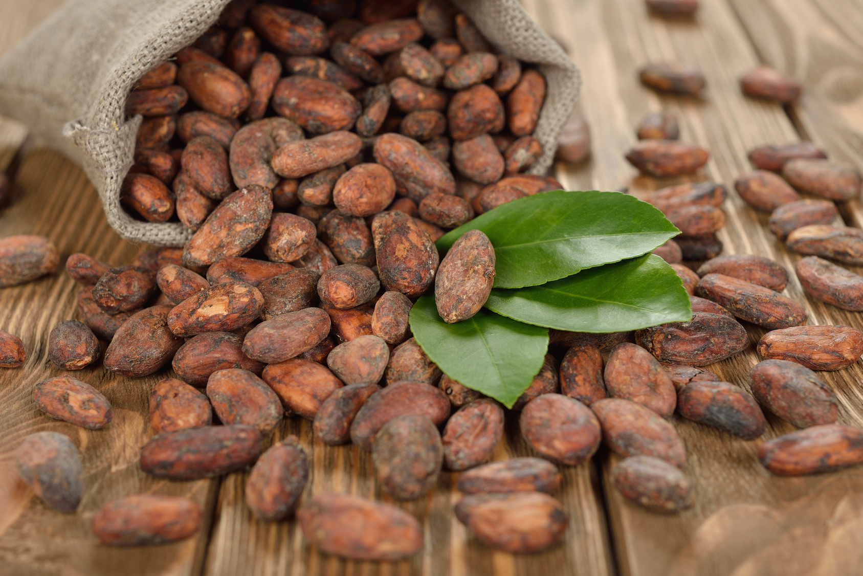 Salvia Paradise Kakaové boby nepražené celé neloupané Peru 250 g