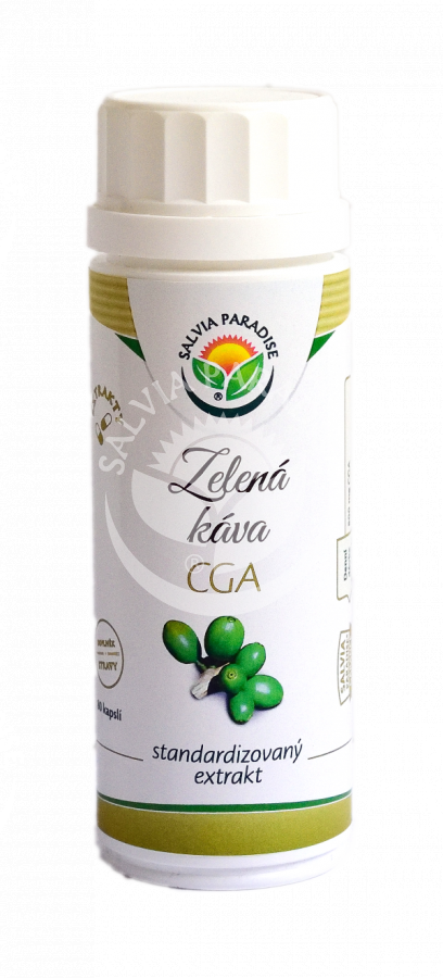 Salvia Paradise Zelená káva CGA standardizovaný extrakt kapsle 80 ks